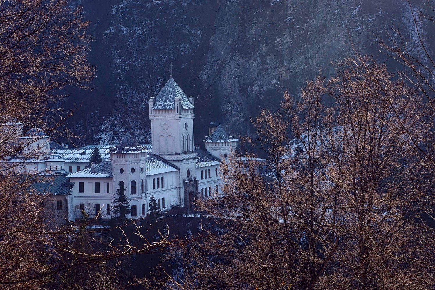 573.M_n_stirea_Tismana_1