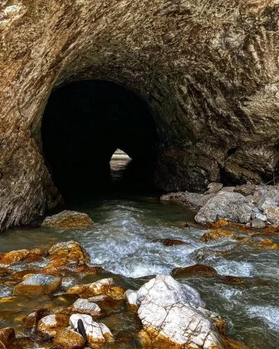 instasave-31-400x500