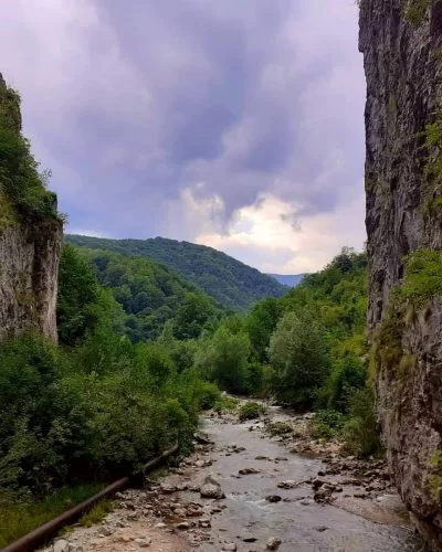 instasave-35-400x500